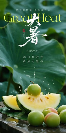 大暑节气单图