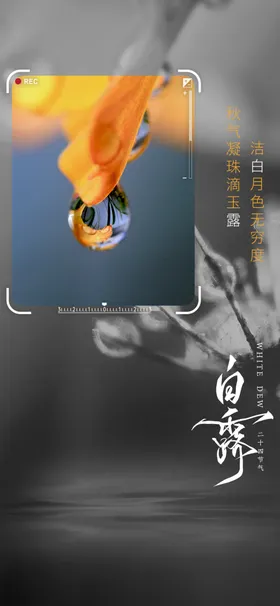 白露高端节气稿单张微信宣朋友圈