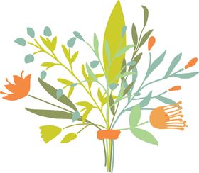 花草插画