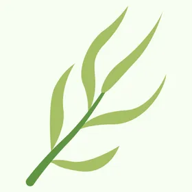 植物水彩手绘卡通