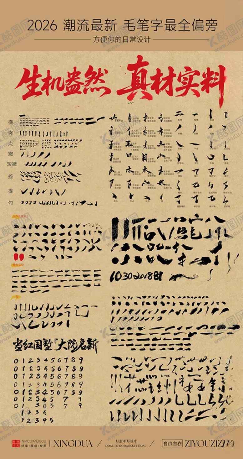 编号：43071409260253496305【酷图网】源文件下载-毛笔字偏旁