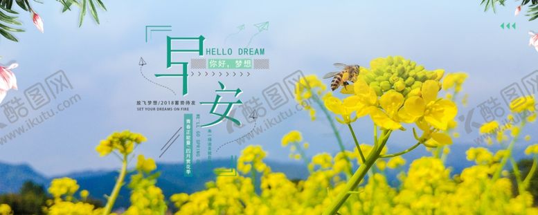 编号：69162809222300483027【酷图网】源文件下载-油菜花