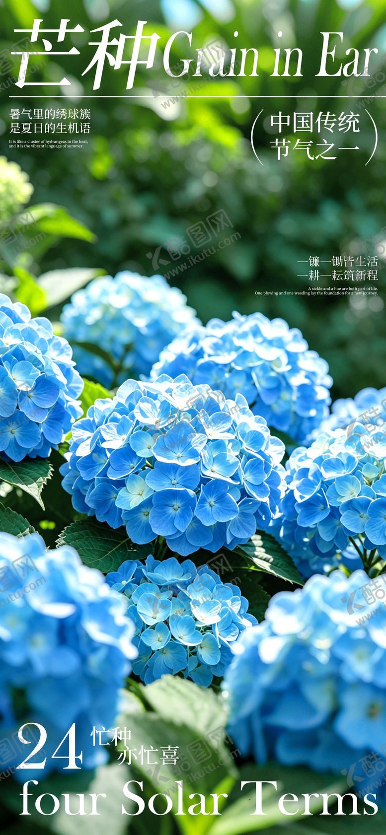 编号：41552206010008491479【酷图网】源文件下载-芒种节气海报