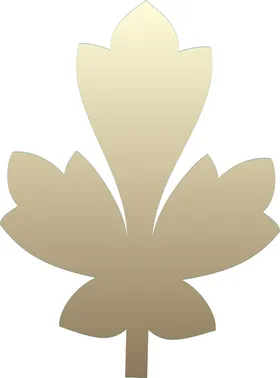 欧式植物花纹底高档相框