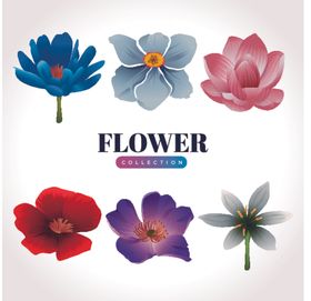 绿植花卉