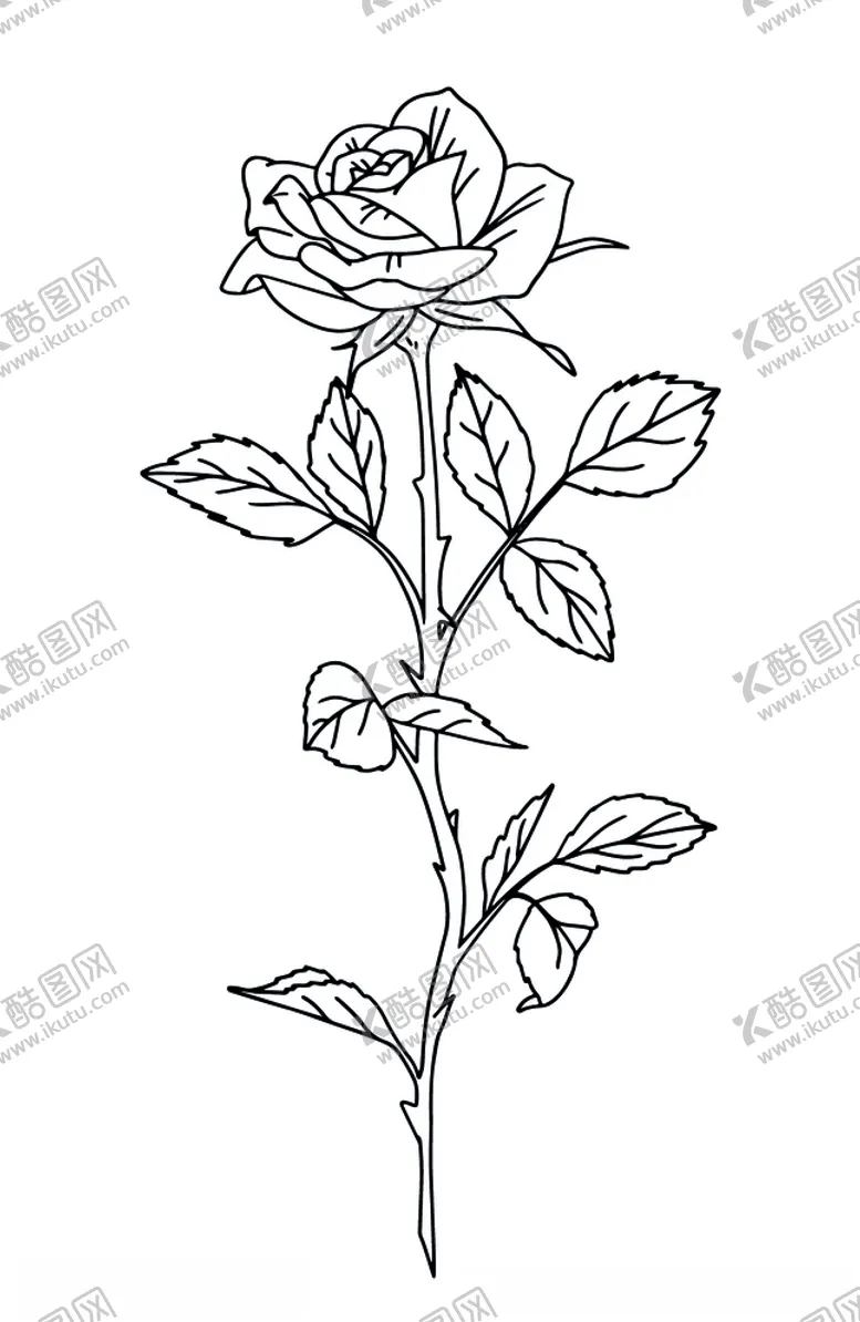 编号：53676306260629144105【酷图网】源文件下载-玫瑰花线稿