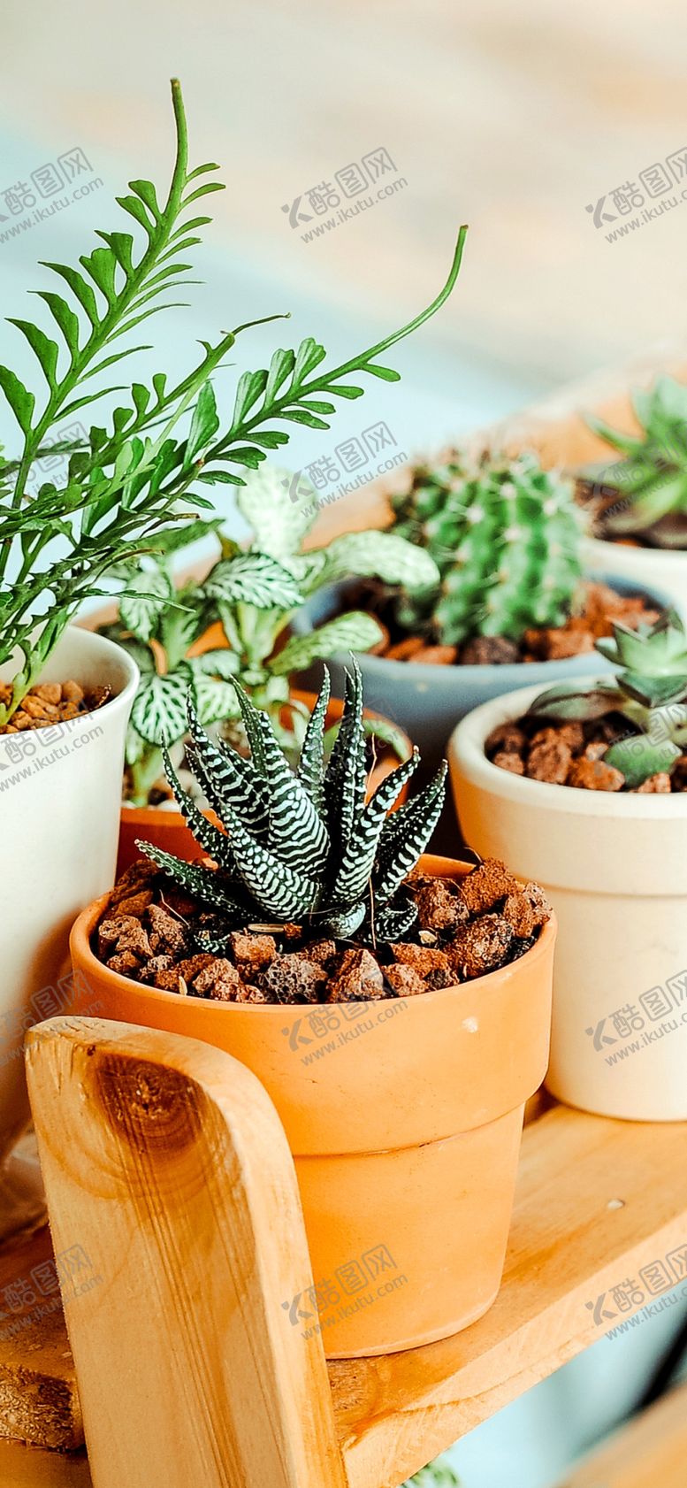 编号：22179209242227098928【酷图网】源文件下载-手机壁纸