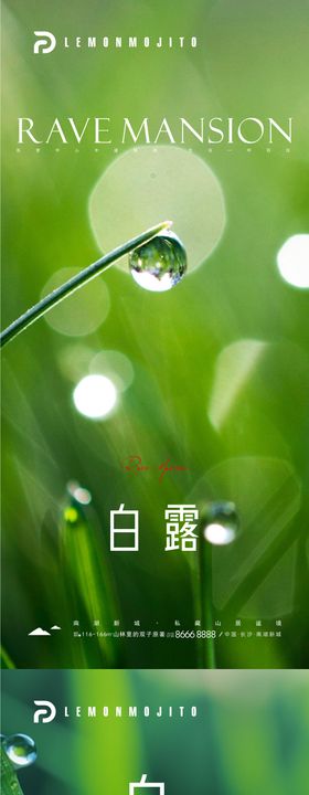 二十四节气海报 白露海报