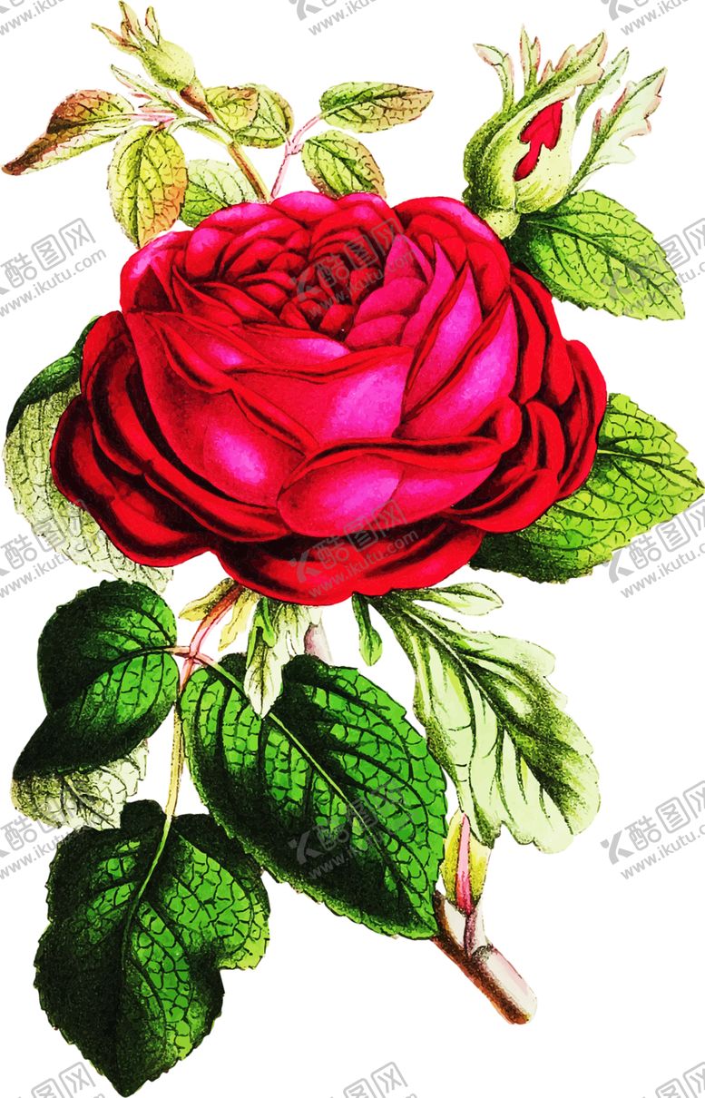 编号：46244909271545424401【酷图网】源文件下载-浪漫素材