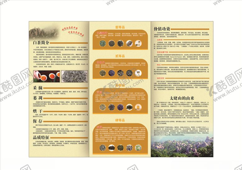 编号：57363106162106194999【酷图网】源文件下载-福鼎白茶