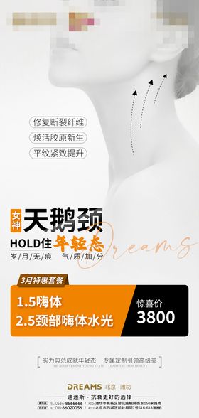 医美嗨体天鹅颈海报