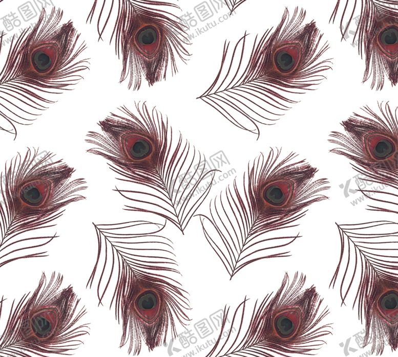 编号：51857804120350324521【酷图网】源文件下载-羽毛