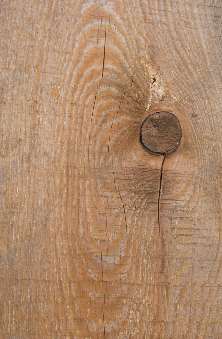 编号：36483209211224594145【酷图网】源文件下载-树皮