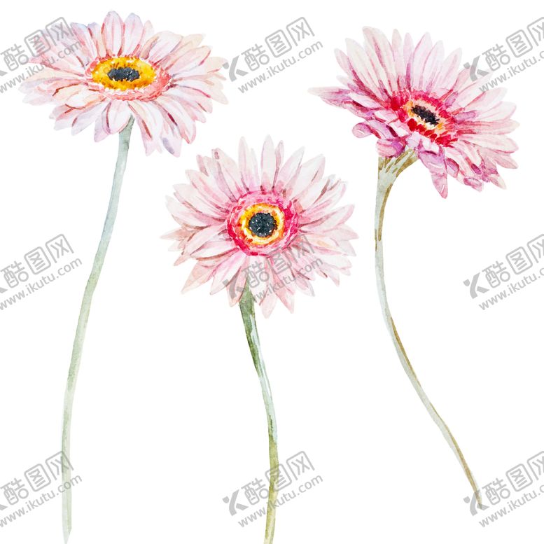 编号：51246110040043131551【酷图网】源文件下载-手绘植物