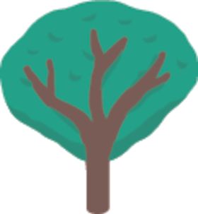 景观树