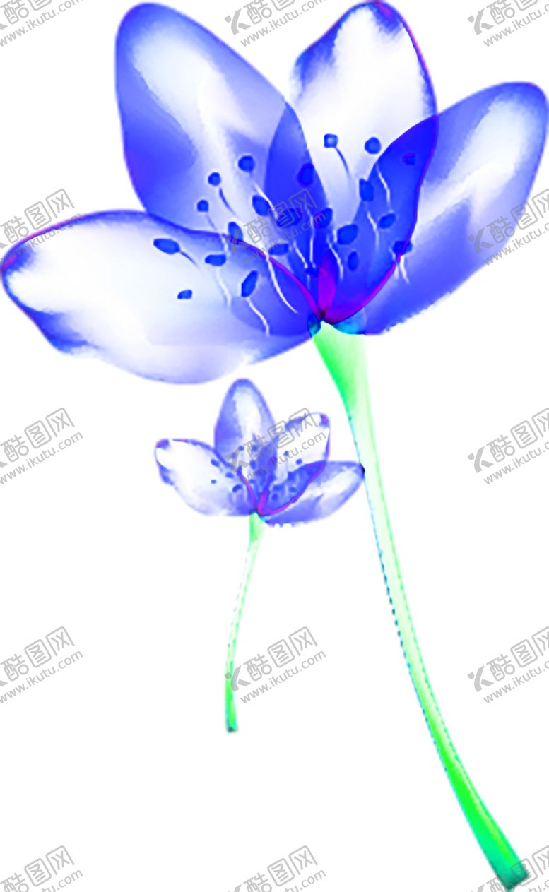 编号：56065807071057014443【酷图网】源文件下载-花素材