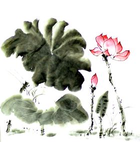 荷花装饰素材