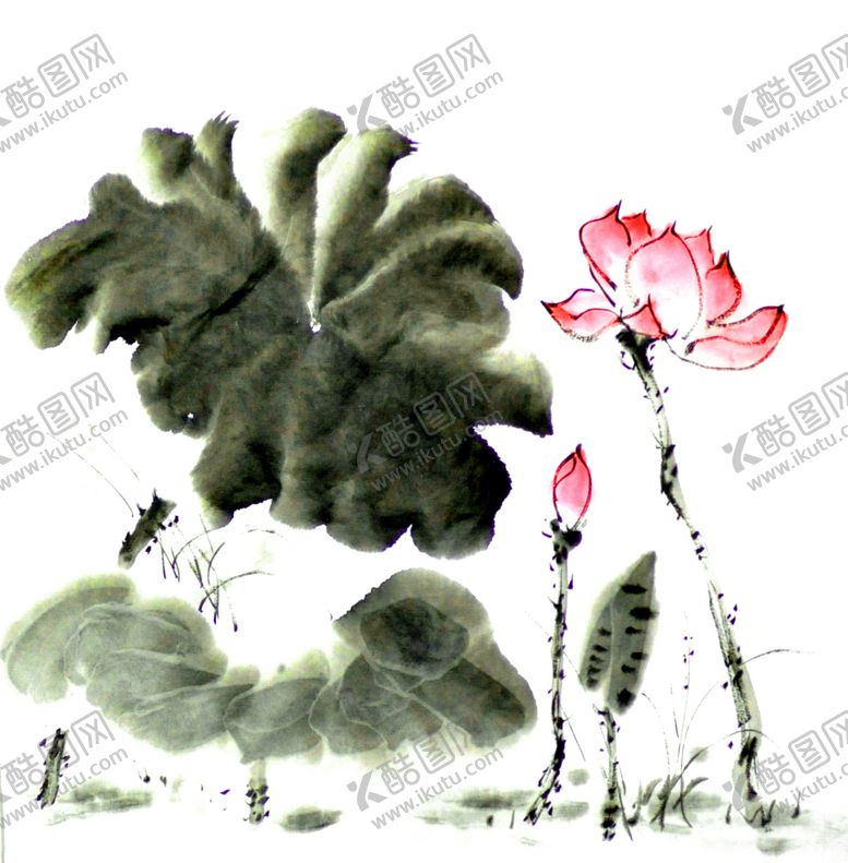 编号：60541309251439163585【酷图网】源文件下载-水墨荷花装饰素材