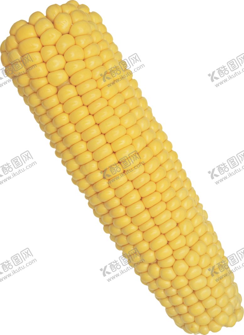 编号：59834205030742494133【酷图网】源文件下载-玉米