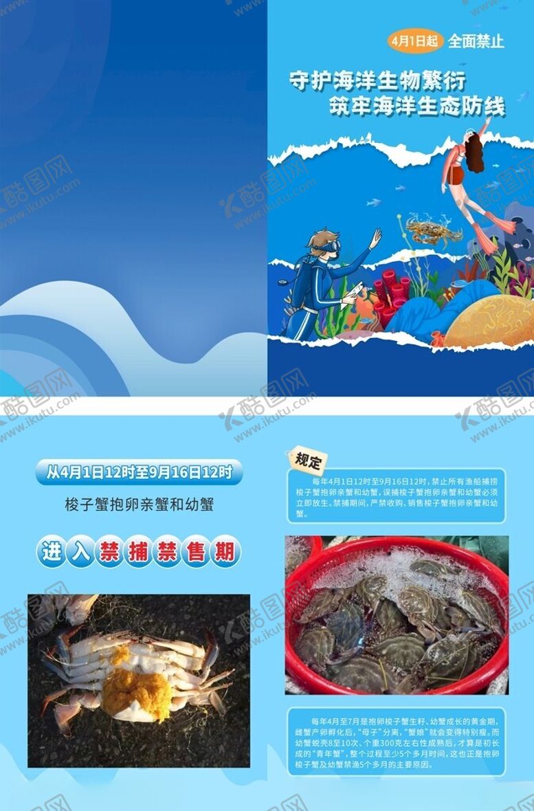 编号：34782404160055363246【酷图网】源文件下载-海洋生物科普折页