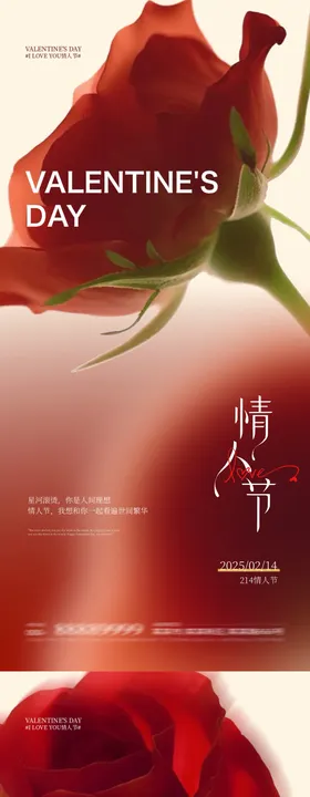 情人节玫瑰花海报