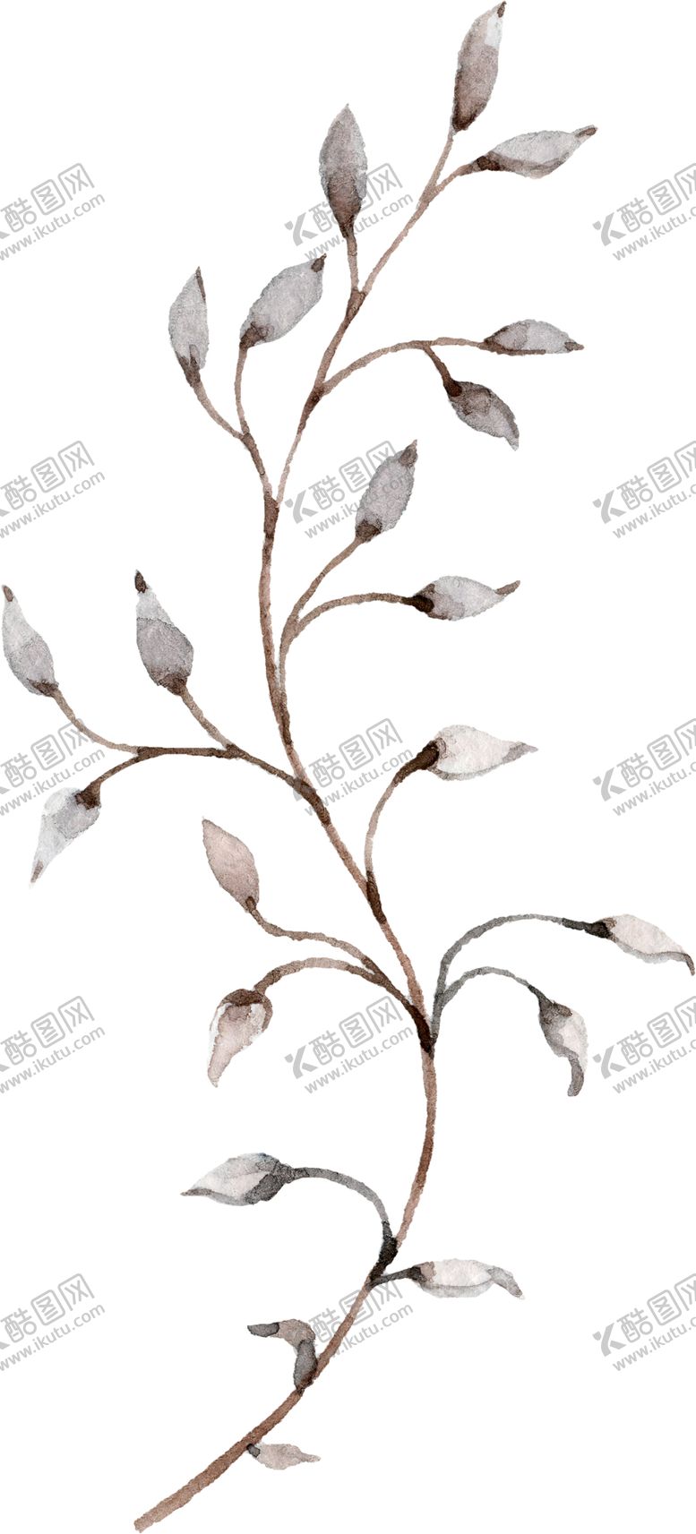 编号：36582507050624556626【酷图网】源文件下载-水彩绘画花朵树枝装饰