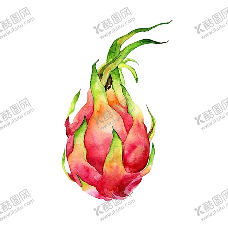 编号：91063507072321003657【酷图网】源文件下载-水果