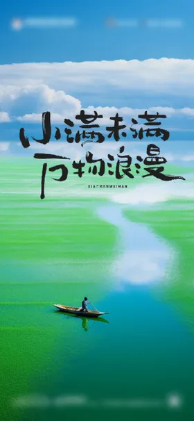 小满节气海报河水船调性