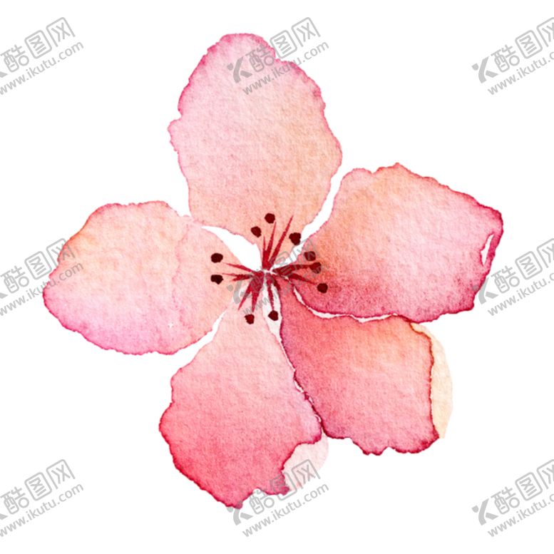 编号：83927907091716048040【酷图网】源文件下载-手绘桃花