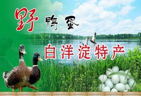 野鸭蛋