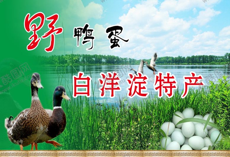 编号：64752709231459103743【酷图网】源文件下载-野鸭蛋