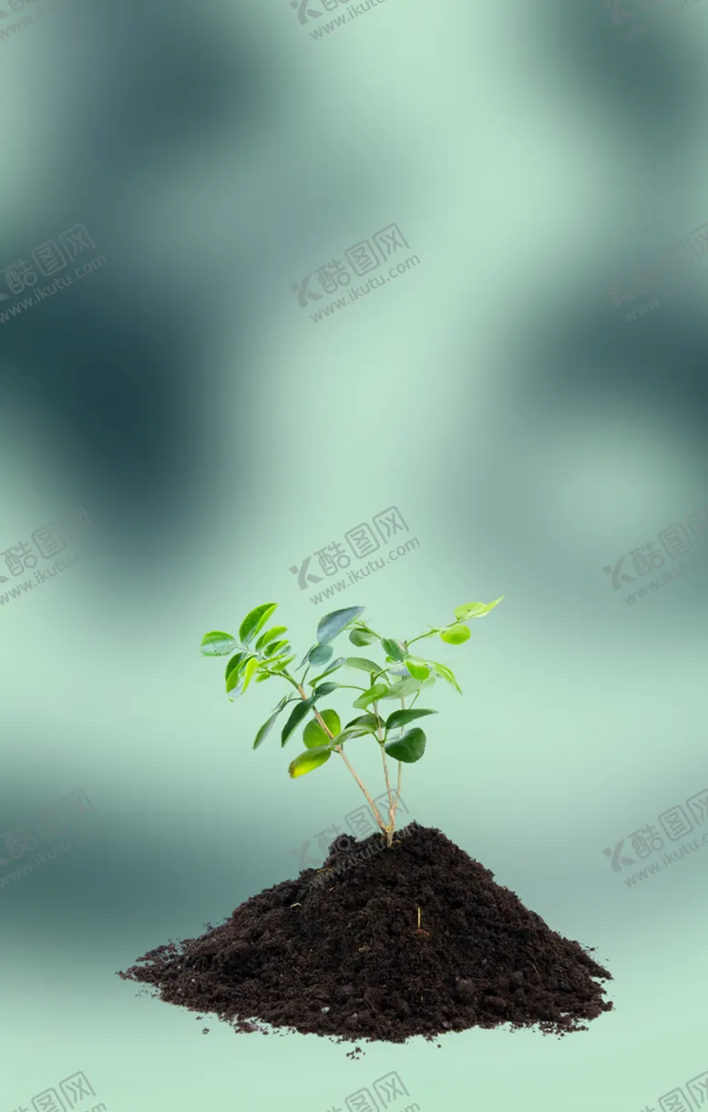 编号：77932003120342505459【酷图网】源文件下载-植树节爱在植树节