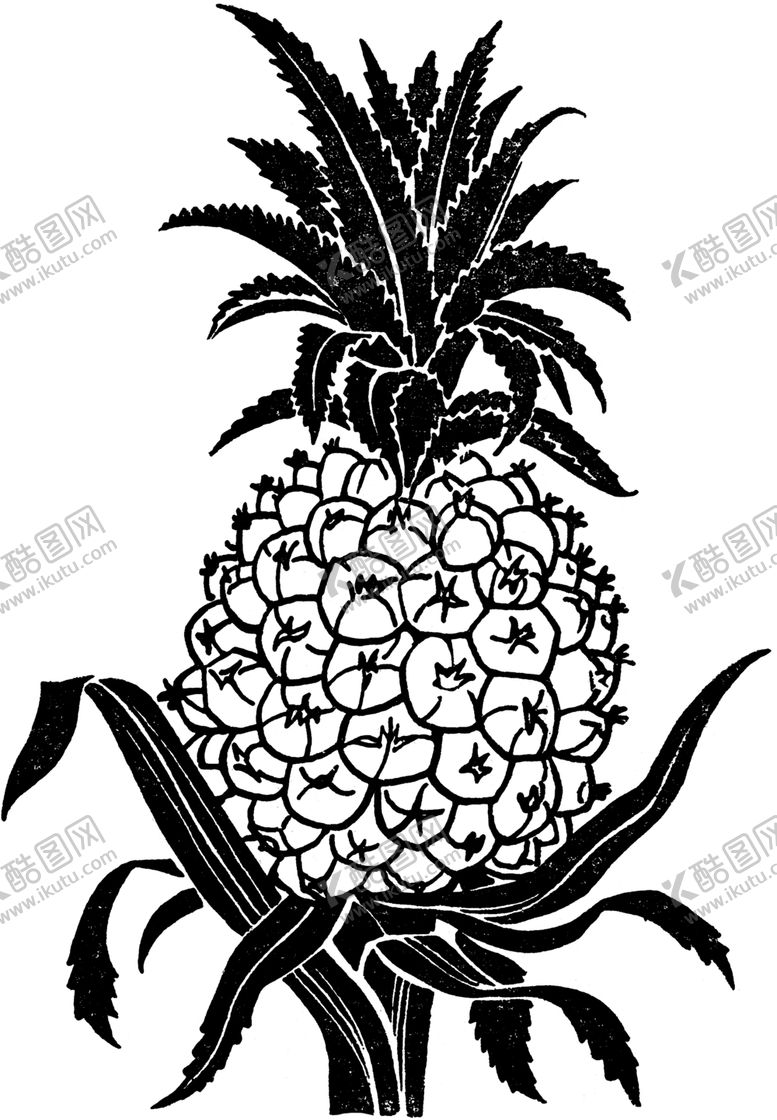 编号：75116909261050206068【酷图网】源文件下载-黑白手绘植物