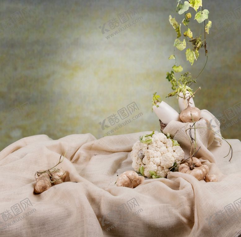 编号：51957310151114389309【酷图网】源文件下载-儿童摄影