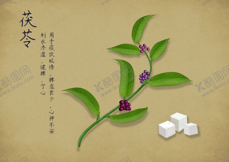 编号：27984902260322052179【酷图网】源文件下载-药材图谱