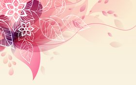 粉色背景墙