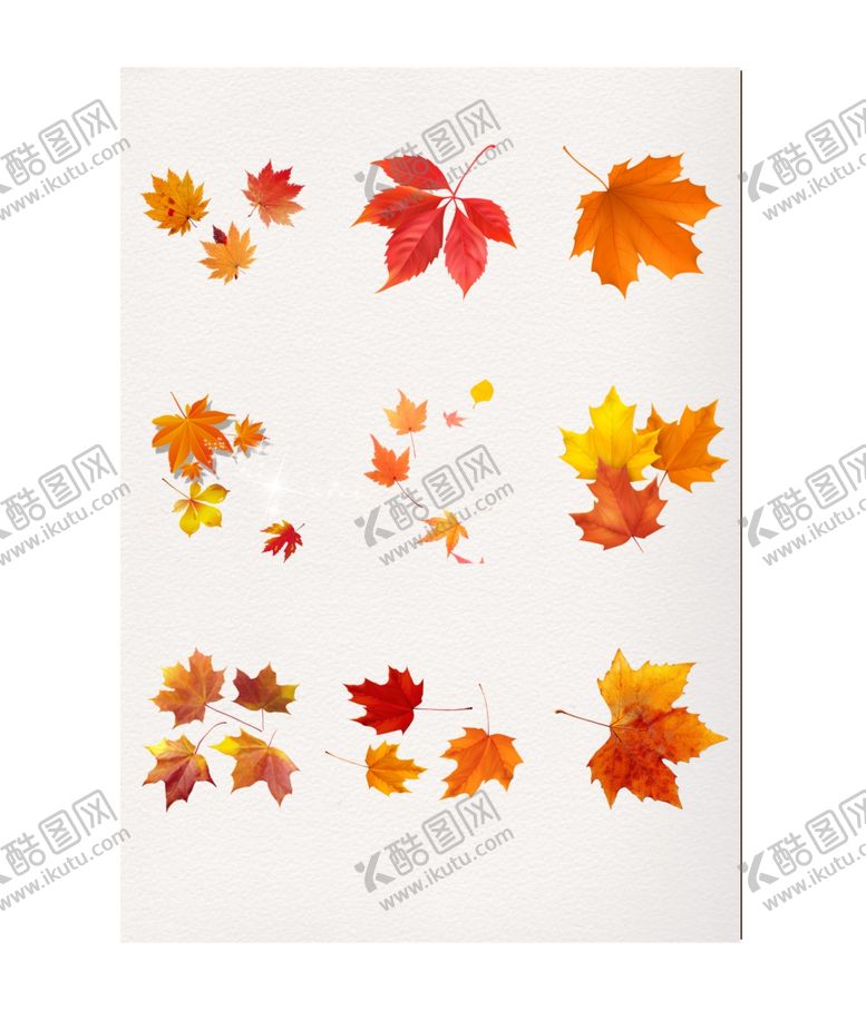 编号：61713710060639399071【酷图网】源文件下载-叶子