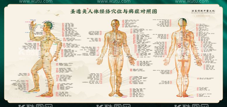 编号：17235011211843287557【酷图网】源文件下载-中医经络穴位艾灸图