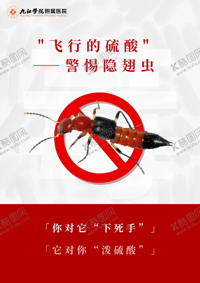 编号：38787001190006057330【酷图网】源文件下载-健康科普警惕隐翅虫动图
