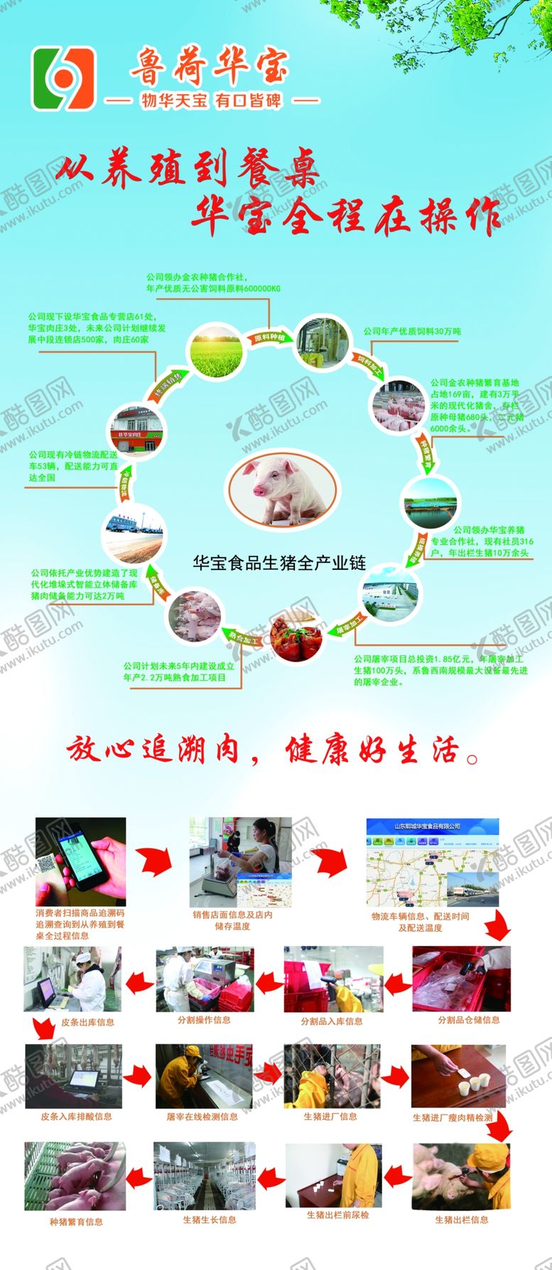 编号：26222602052109073251【酷图网】源文件下载-华宝食品生猪全产业链猪肉