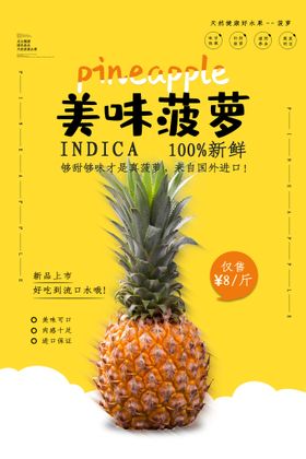 菠萝海报