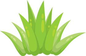 绿色植物