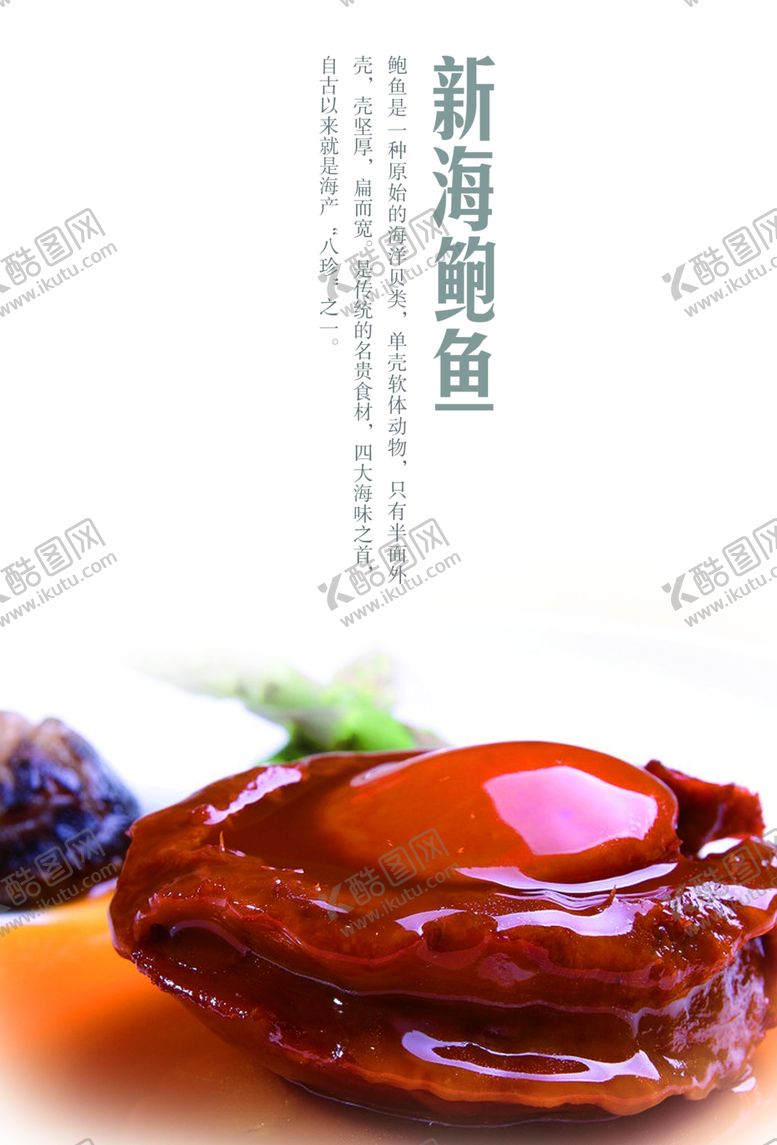 编号：19334409231124072557【酷图网】源文件下载-鲍鱼海报