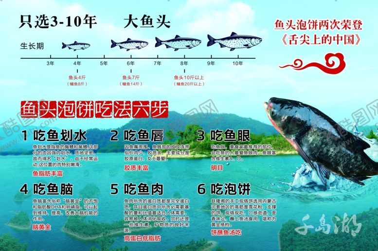 编号：89364602280451177972【酷图网】源文件下载-鱼头泡饼