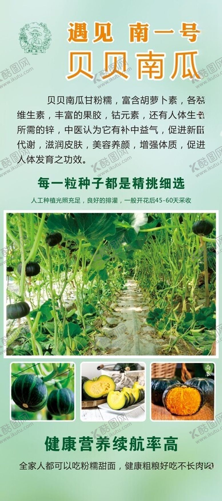 编号：79921612130842542828【酷图网】源文件下载-贝贝南瓜产地