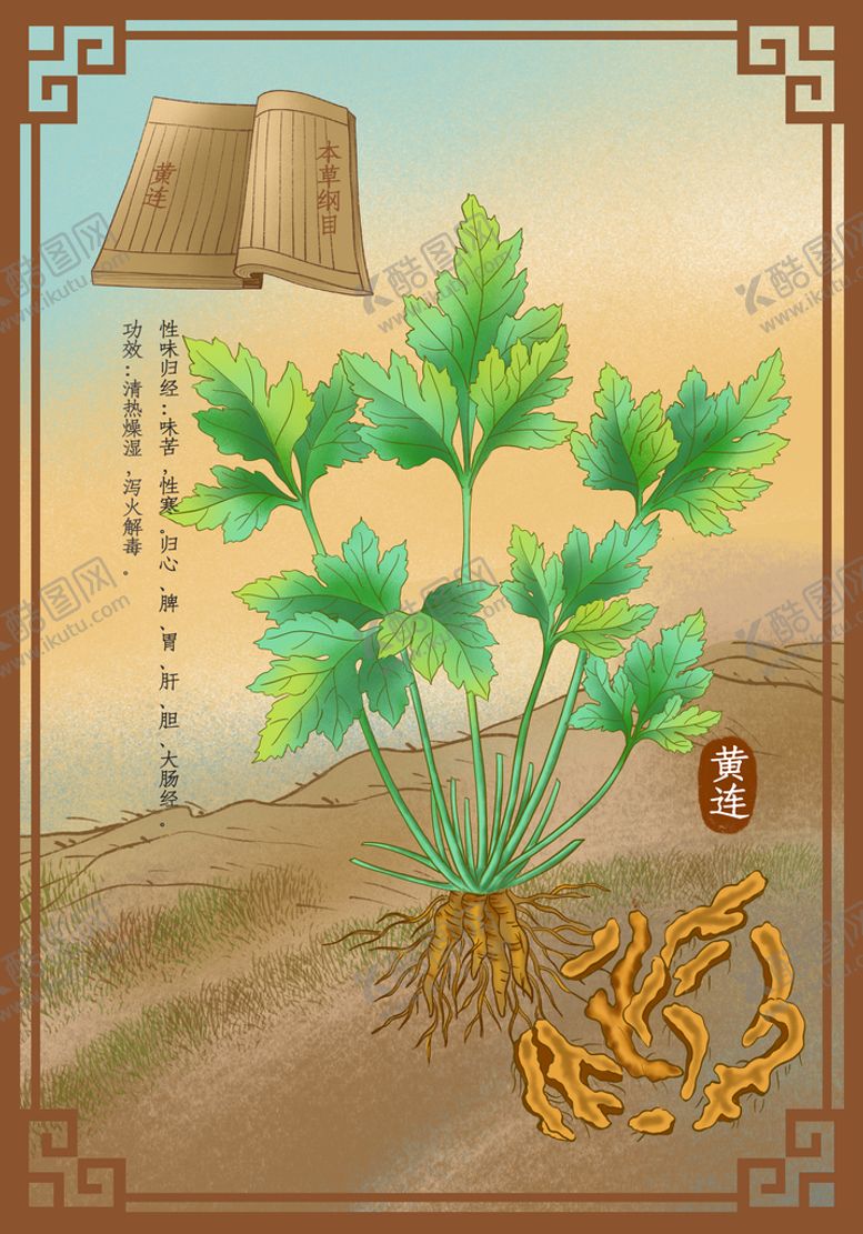编号：36979411170505478056【酷图网】源文件下载-黄连