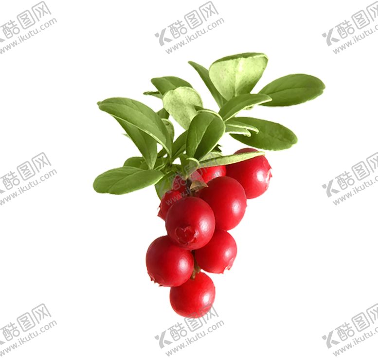 编号：76323307121221254066【酷图网】源文件下载-水果