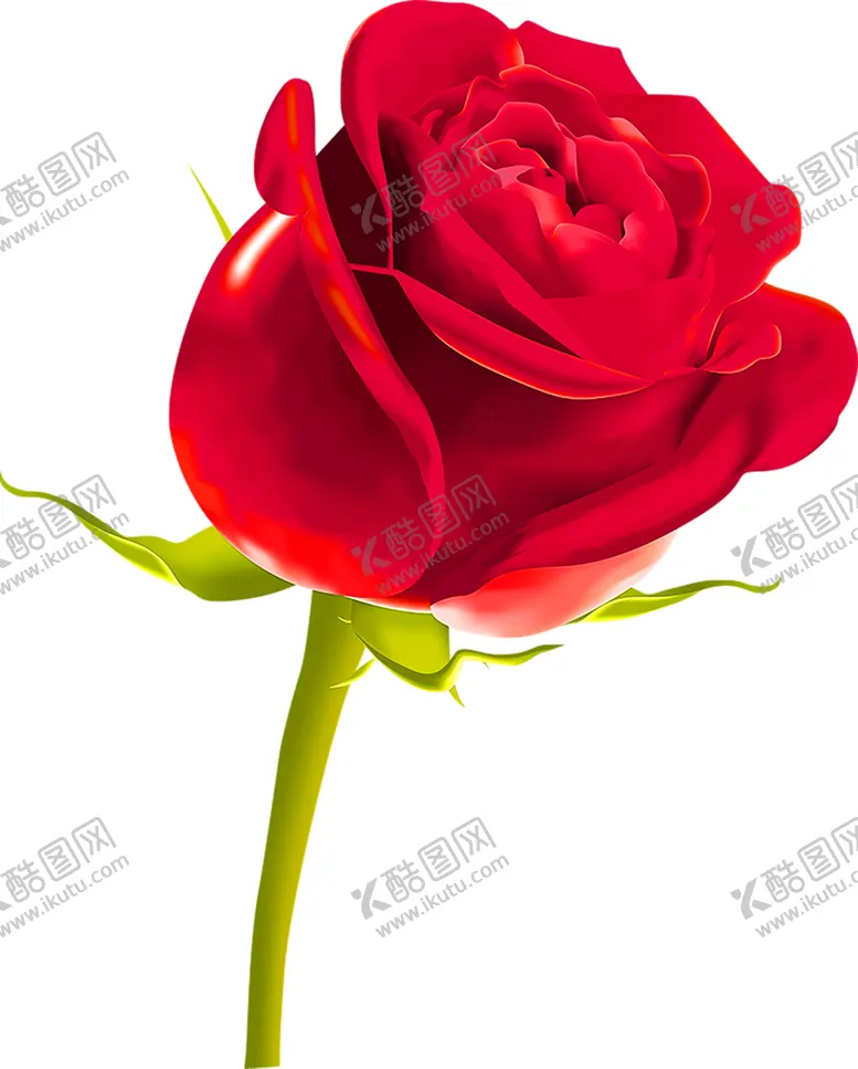 编号：23944806171746548125【酷图网】源文件下载-鲜花装饰
