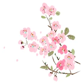 梅花桃花PNG广告设计中国风兰竹菊水墨