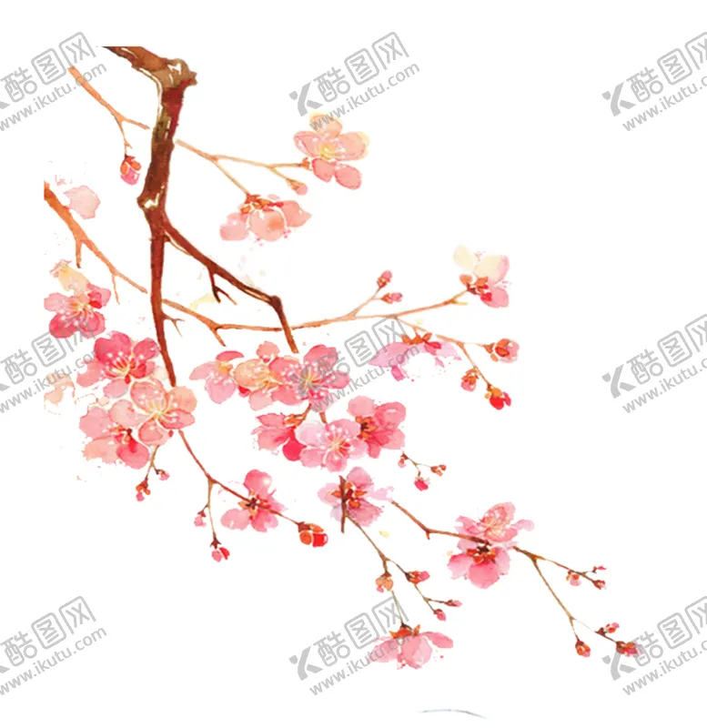 编号：58080810180718265128【酷图网】源文件下载-花卉  
